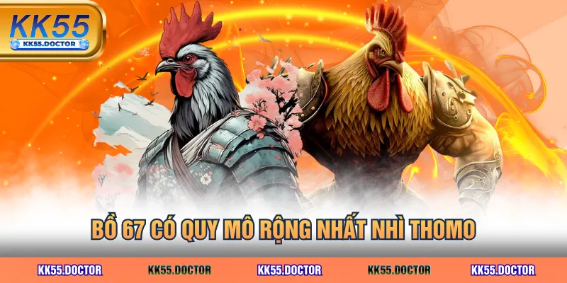 Bồ 67 có quy mô rộng nhất nhì Thomo