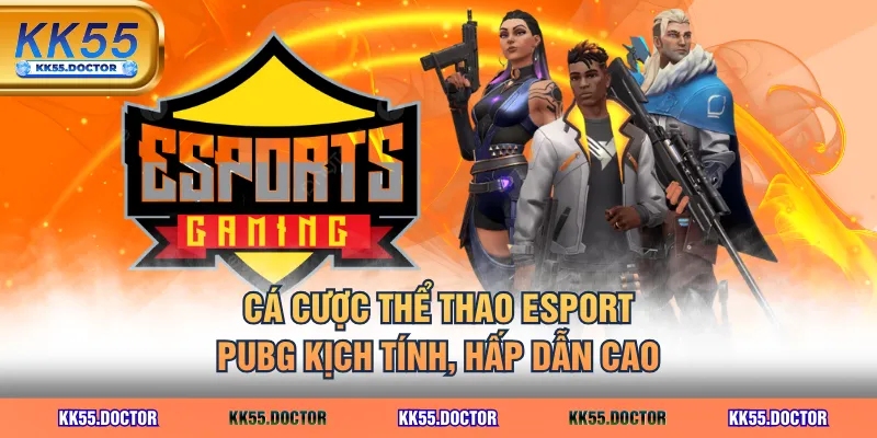 Cá cược thể thao Esport PUBG kịch tính, hấp dẫn cao