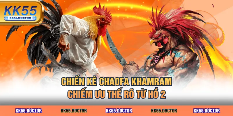 Chiến kê Chaofa Khamram chiếm ưu thế rõ từ hồ 2