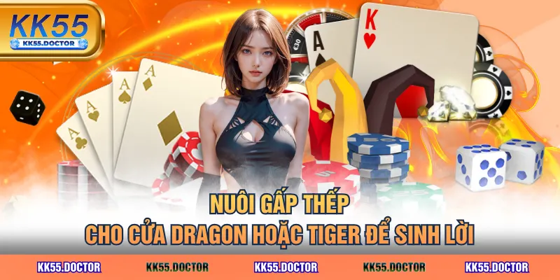 Nuôi gấp thếp cho cửa Dragon hoặc Tiger để sinh lời