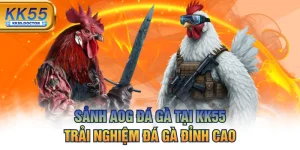 Sảnh AOG Đá Gà Tại KK55 - Trải Nghiệm Đá Gà Đỉnh Cao