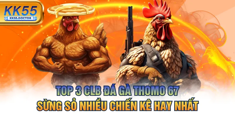 Top 3 CLB Đá Gà Thomo 67 Sừng Sỏ Nhiều Chiến Kê Hay Nhất